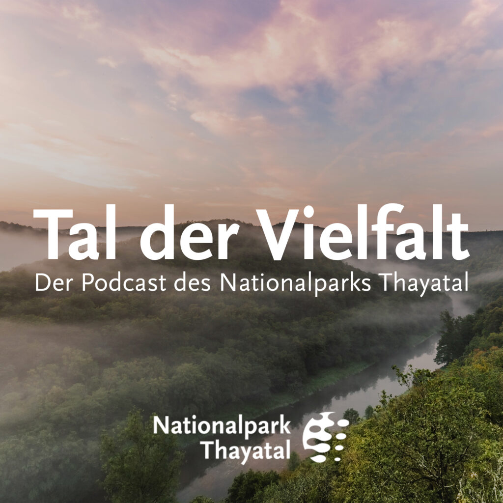 Podcast Cover Nationalpark Thayatal